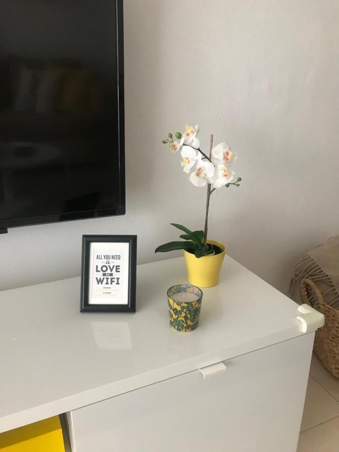 אליקאנטה Designer'S Flat - 3 Bdrm - Wifi - Best Location מראה חיצוני תמונה